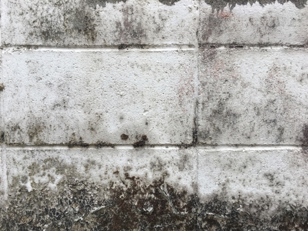 �ϐF�����O��